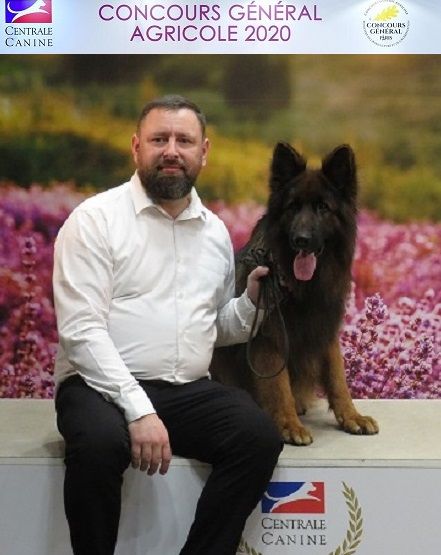 Elevage De La Légende D Amarok Eleveur de chiens Berger Allemand Poil