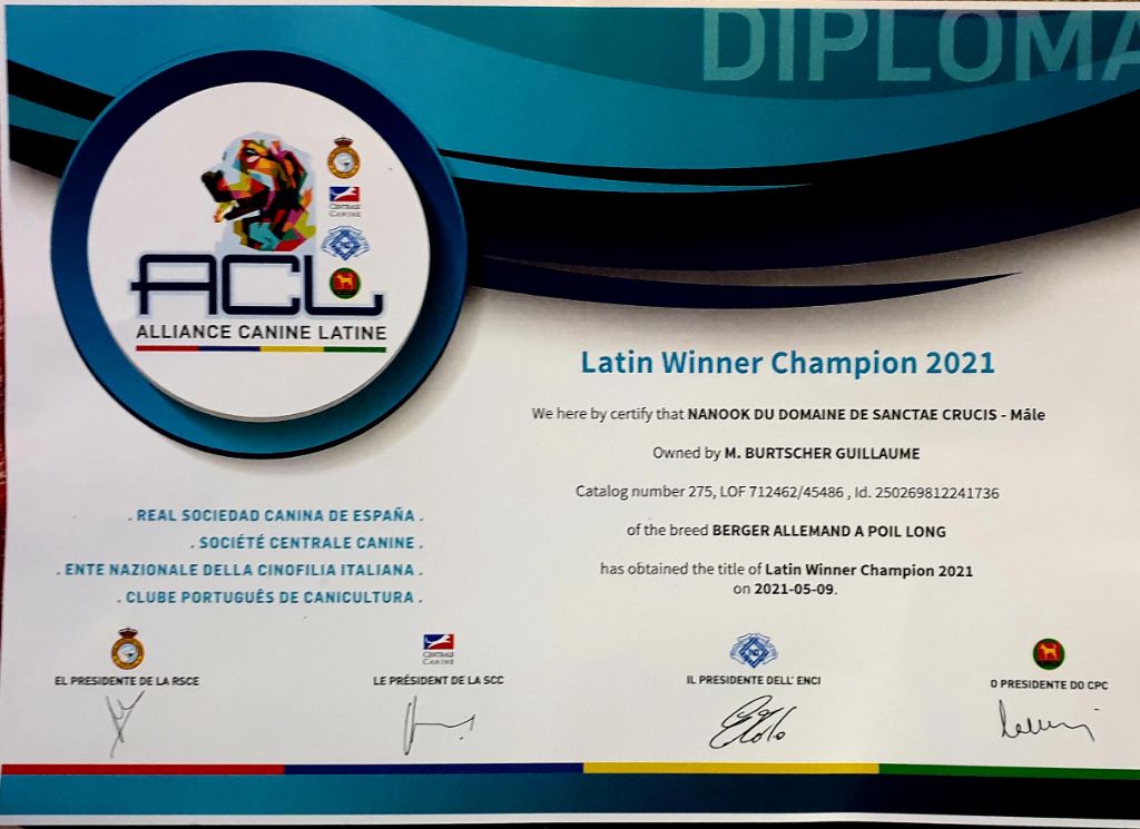 De La Légende D'Amarok - NANOOK LATIN WINNER CHAMPION 2021