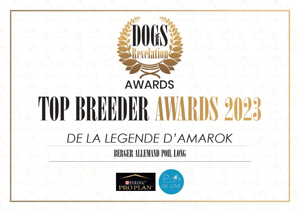 De La Légende D'Amarok - DOGS REVELATIONS AWARDS 2023