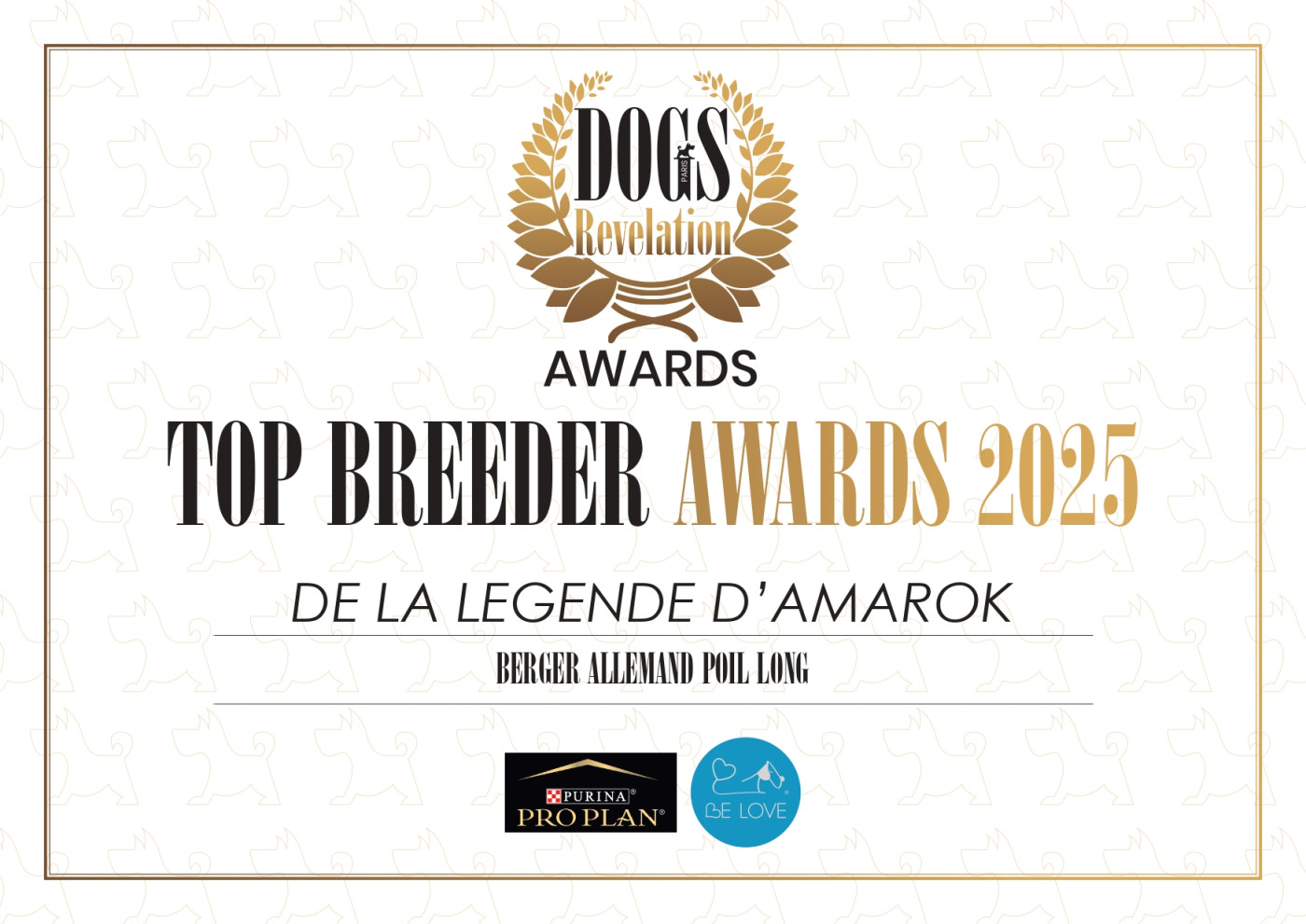 🏆 Meilleur élevage de Berger Allemand Poil Long de France 5 année consécutive